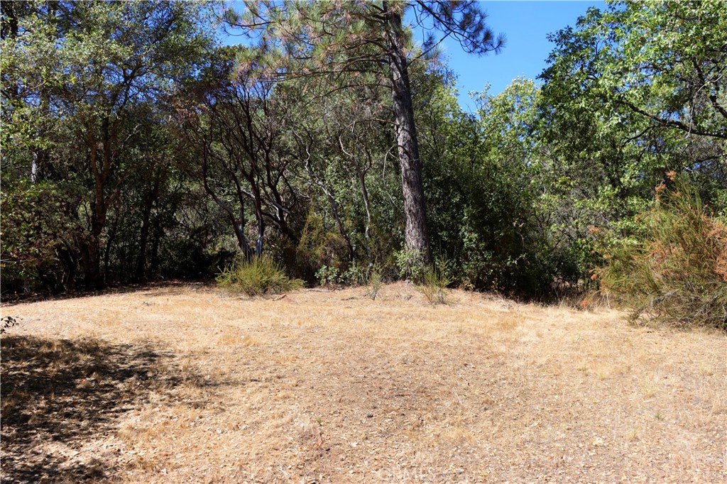 163 Oak Road Midpines, CA 95345 - Photo 2 of 22 Gallery Image 2