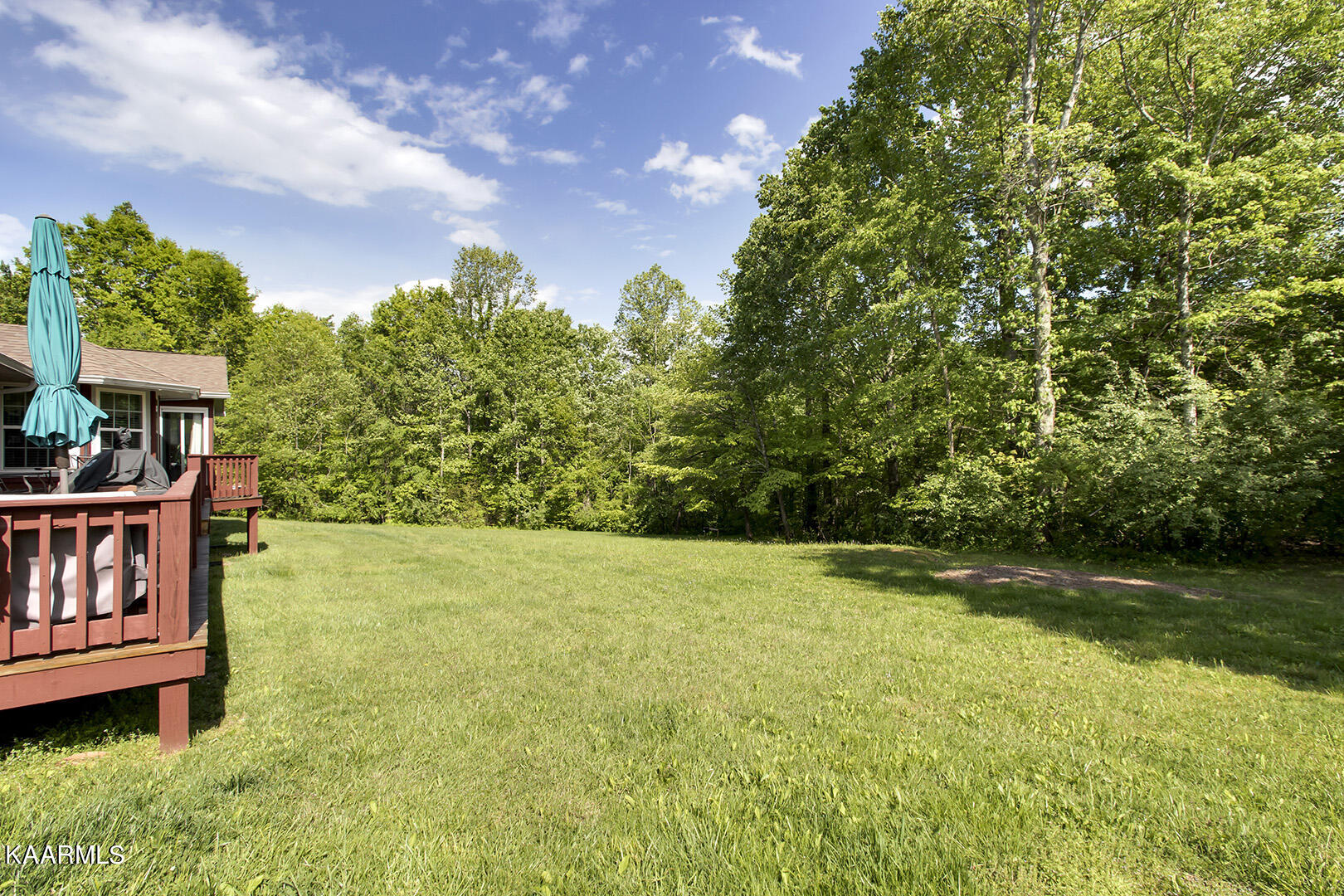 101 Deer Run Vonore, TN 37885 - Photo 38 of 40 38_101 Deer Run_Backyard