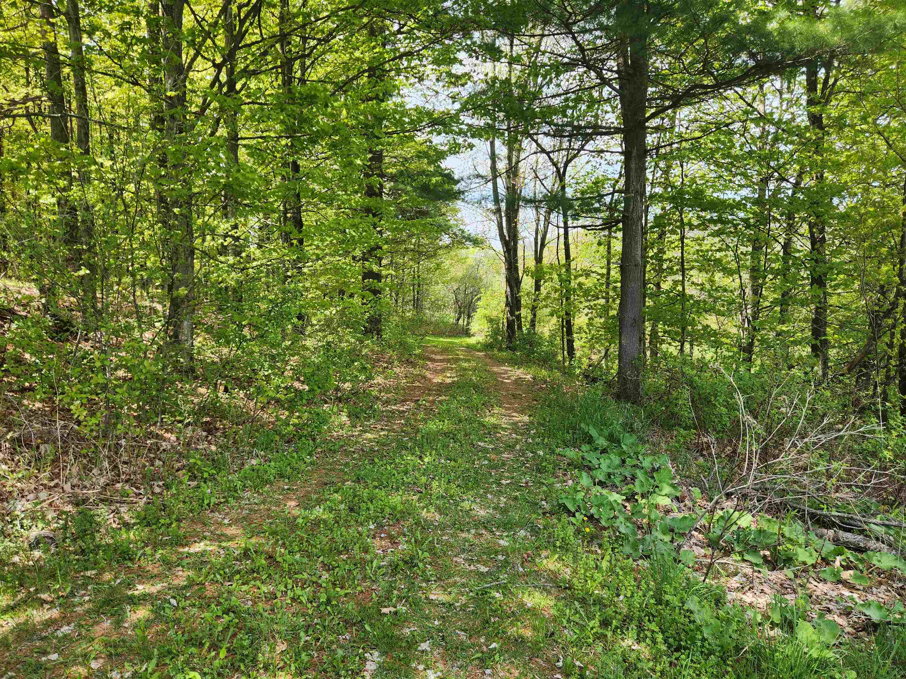3517 Colvin Hill Road Danby, VT 05739 - Photo 19 of 25