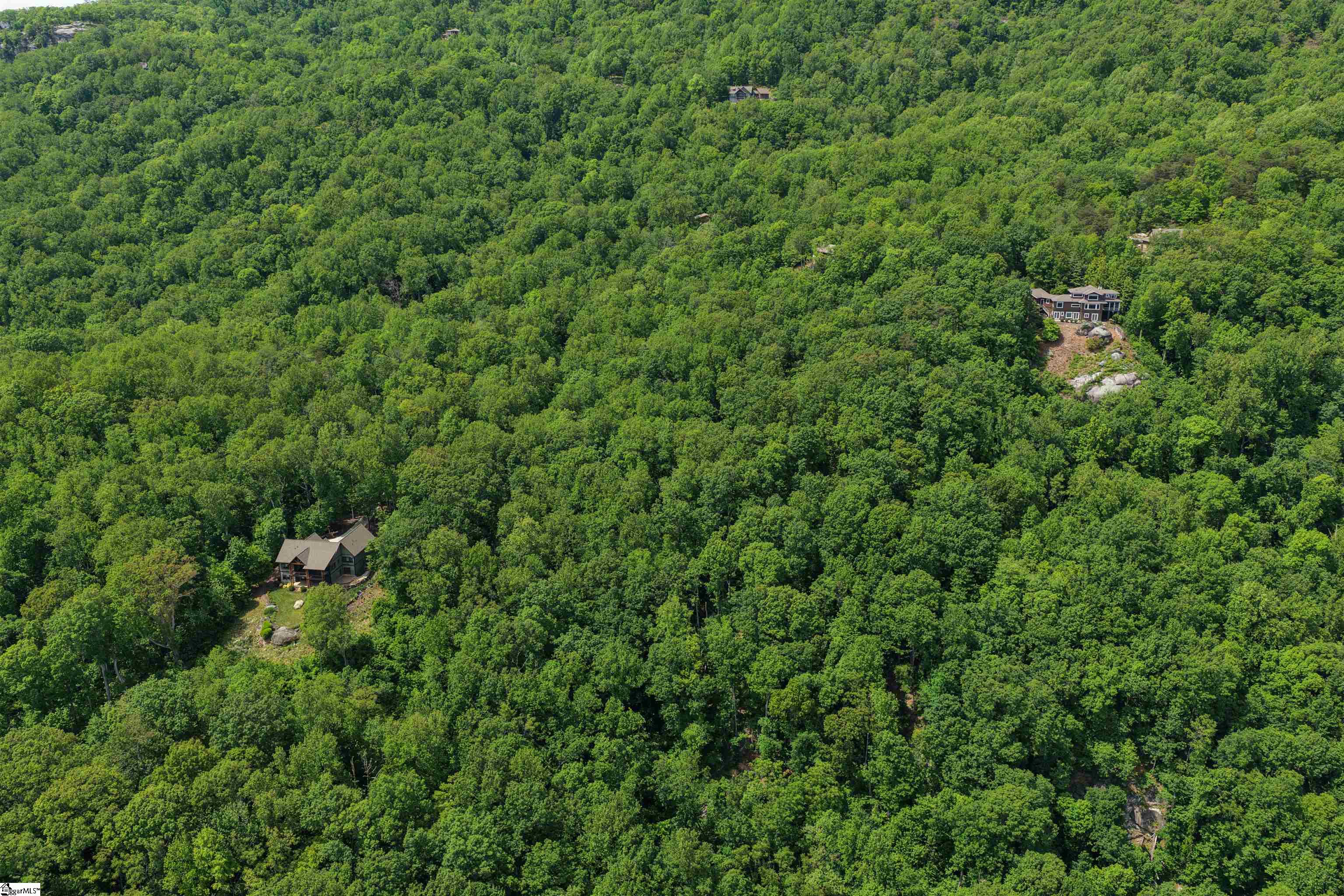 0 Needle Cragg Road Landrum, SC 29356 - Photo 12 of 14