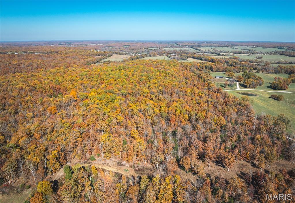 18899 Iron Mine Road Licking, MO 65542 - Photo 39 of 44