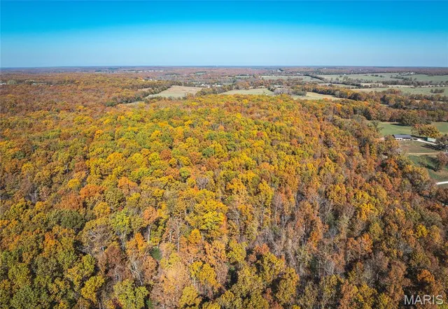 $525,000 | 18899 Iron Mine Road, Licking, MO 65542