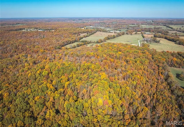 $525,000 | 18899 Iron Mine Road, Licking, MO 65542