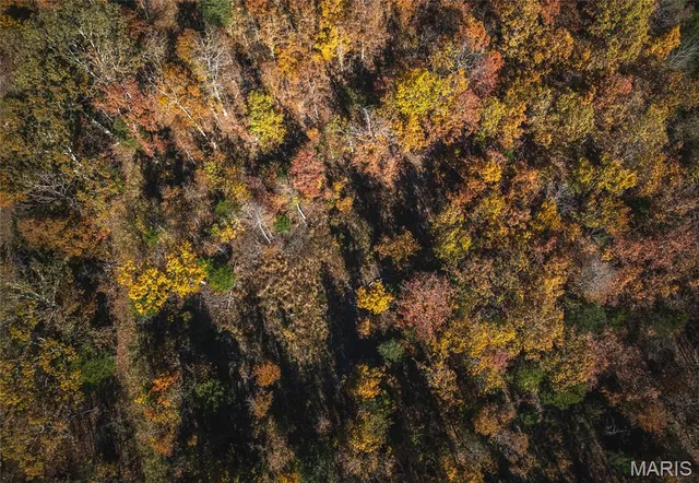 $525,000 | 18899 Iron Mine Road, Licking, MO 65542