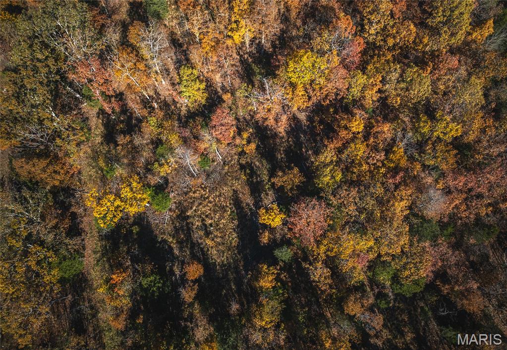 18899 Iron Mine Road Licking, MO 65542 - Photo 44 of 44