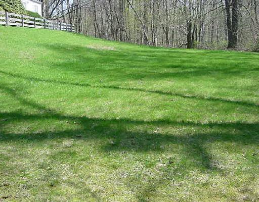 Williams Road Trumbull, CT 06611 - Photo 1 of 1