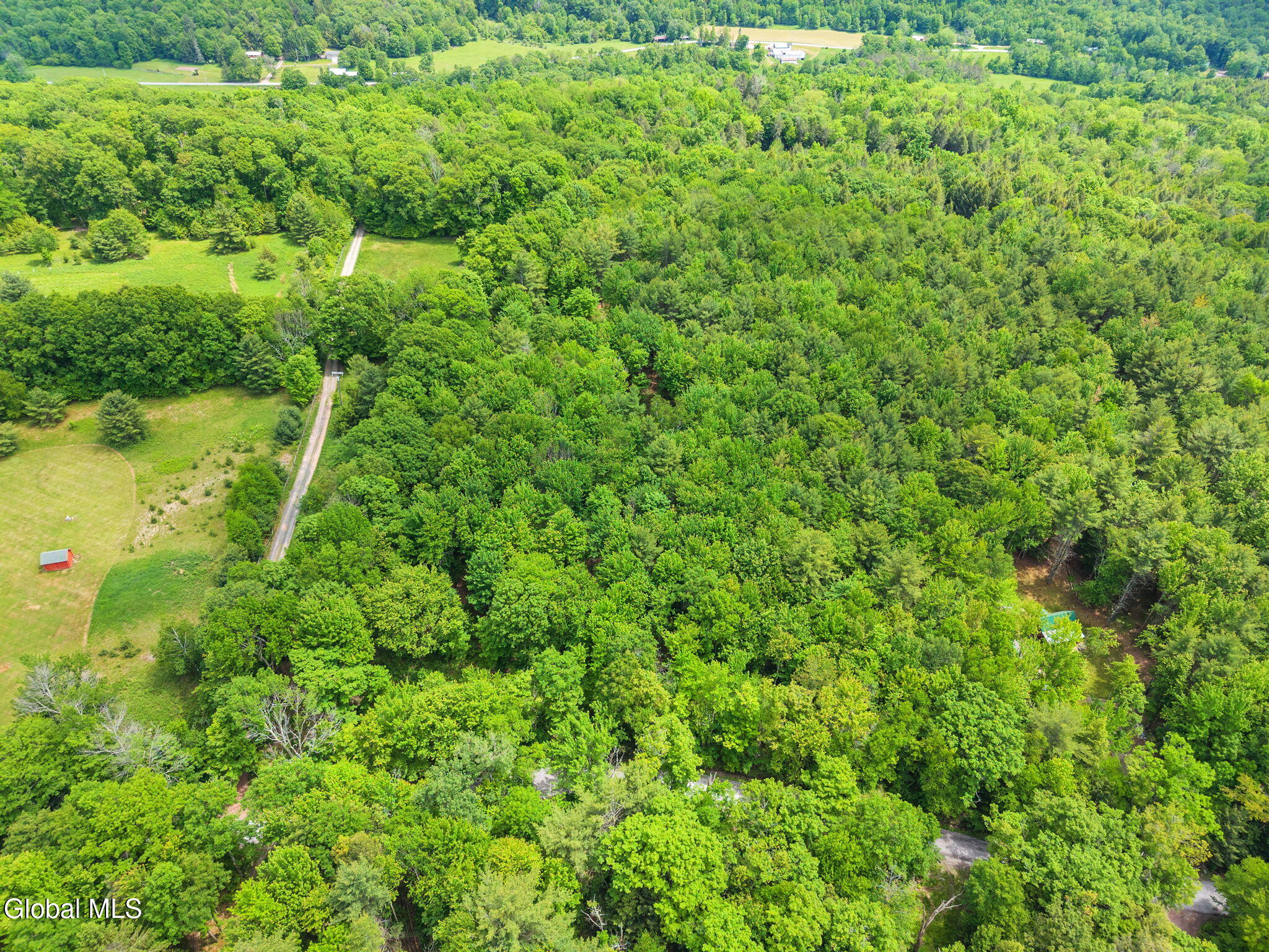 368 Brand Road Gilboa, NY 12076 - Photo 67 of 76 81-368BrandRd_43