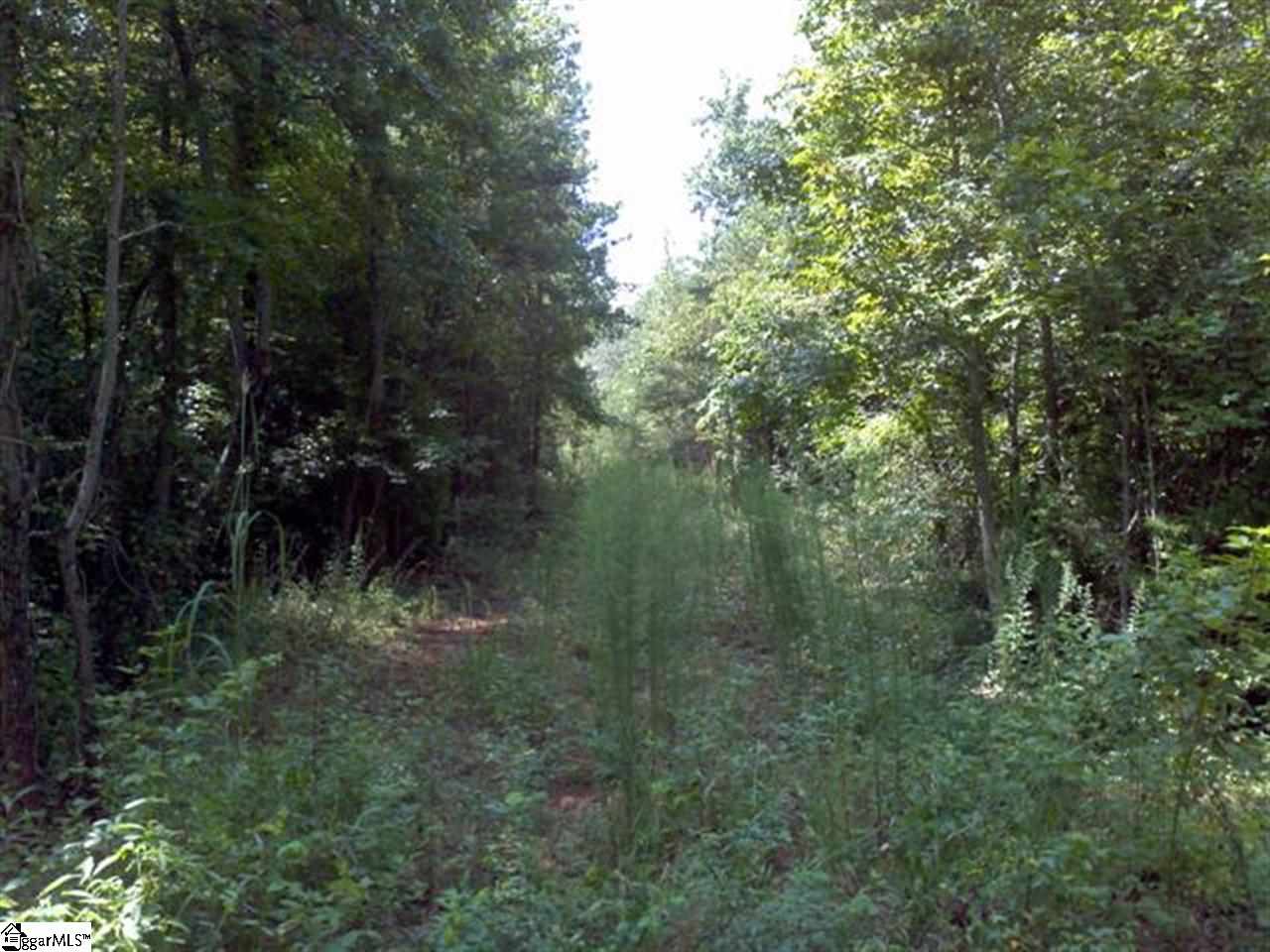 Forestville Road Travelers Rest, SC 29690 - Photo 4 of 6