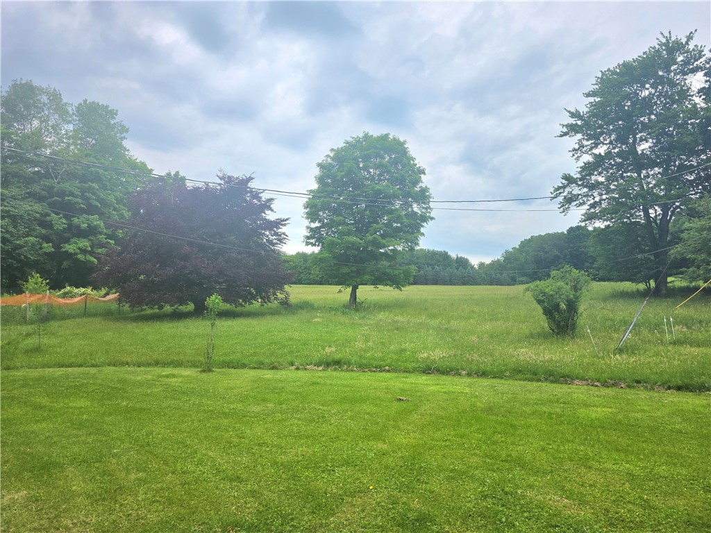 171 Haskins Road Erin, NY 14838 - Photo 5 of 9