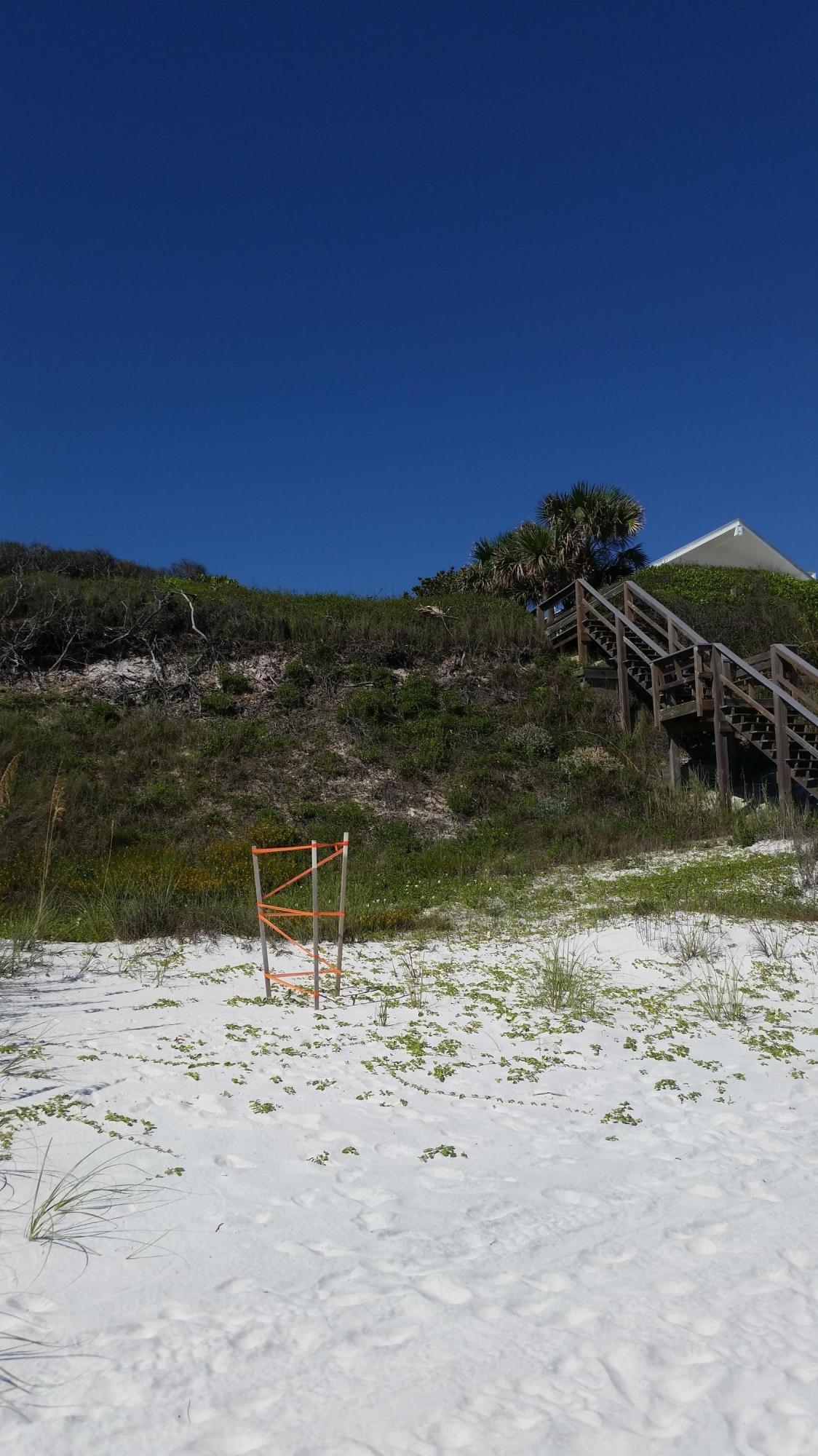 Lot 5 Sand Cliffs Dr Inlet Beach Inlet Beach, FL 32461 - Photo 5 of 10 a view of ocean view