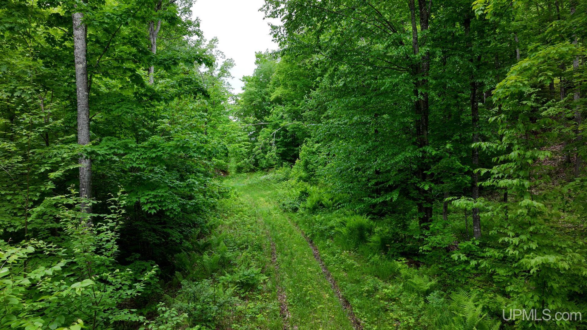 Tbd Tbd Co Road Negaunee, MI 49866 - Photo 46 of 47