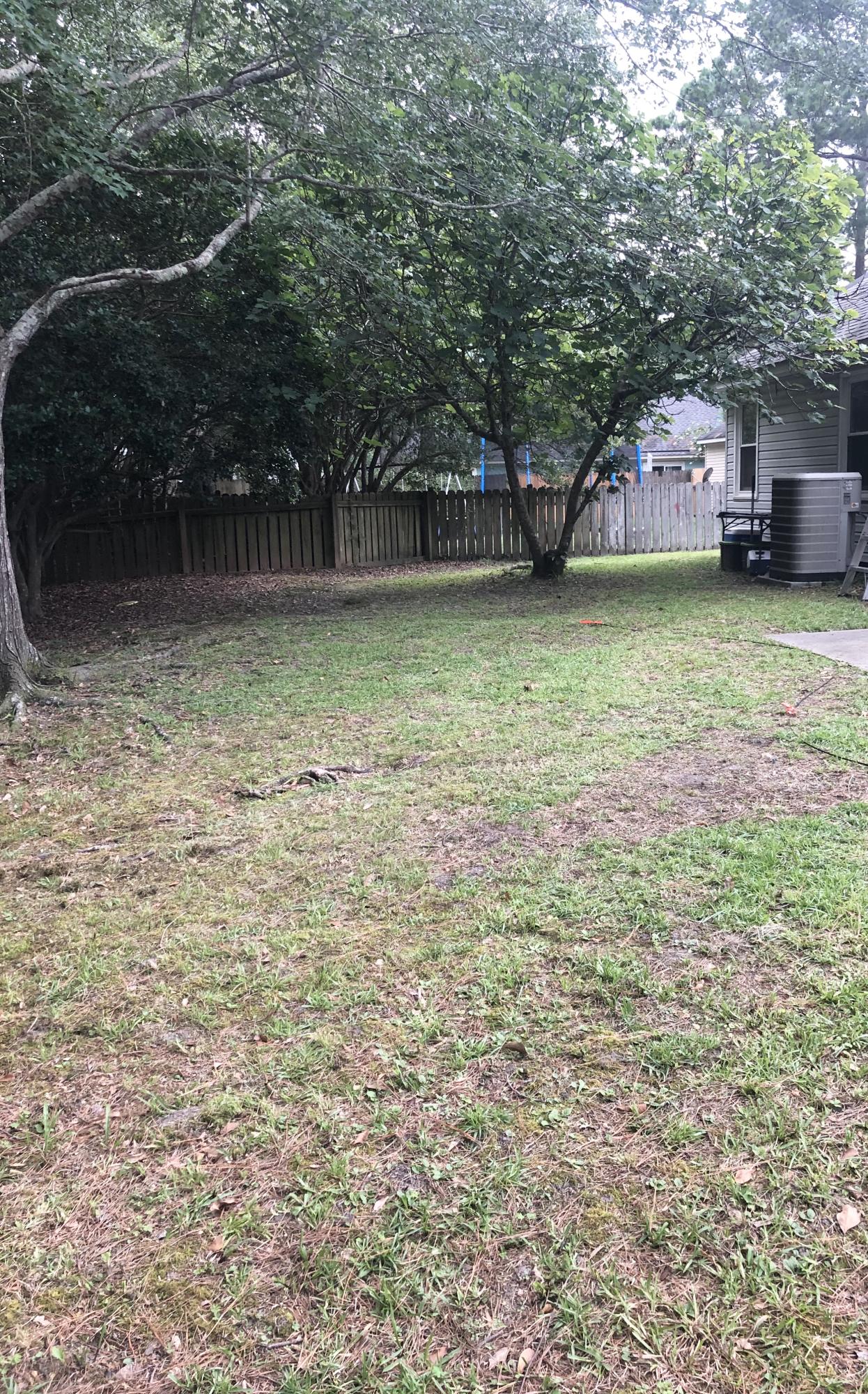 107 Commons Way Goose Creek, SC 29445 - Photo 17 of 22 Backyard