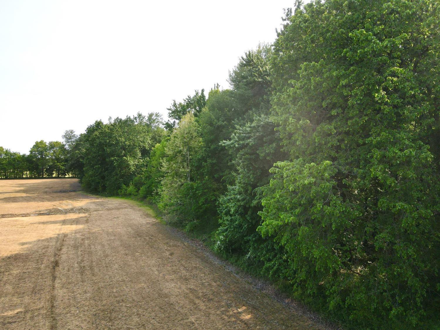 Acres Moore Road Bethel, OH 45106 - Photo 16 of 33 Gallery Image 16