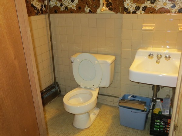 197 Gardner Road Brookline, MA 02445 - Photo 26 of 30 a bathroom with a toilet and a sink