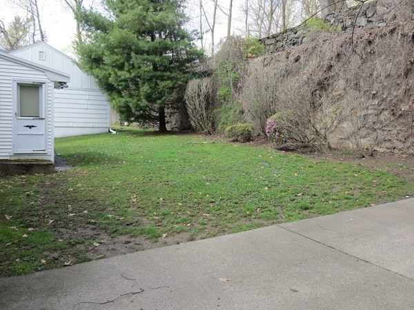 197 Gardner Road Brookline, MA 02445 - Photo 5 of 30 a view of a backyard with plants and large trees