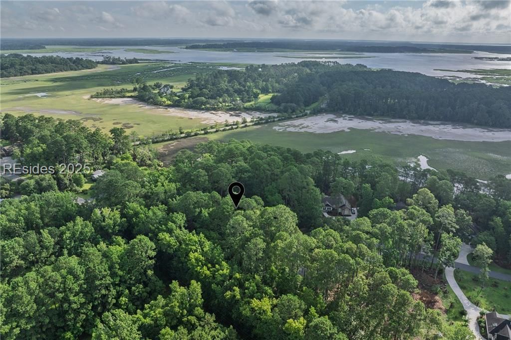 1 Spartina Crescent Bluffton, SC 29910 - Photo 65 of 67