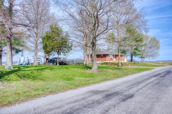 a view of a house with backyard and a tree