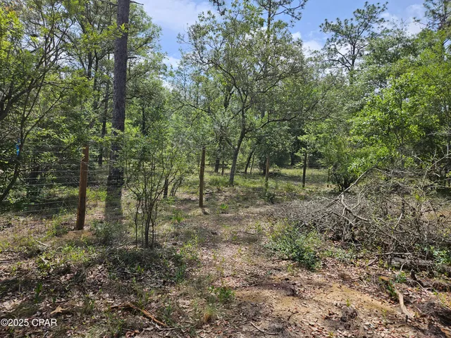 $69,800 | 3239 Fox Court, Chipley, FL 32428