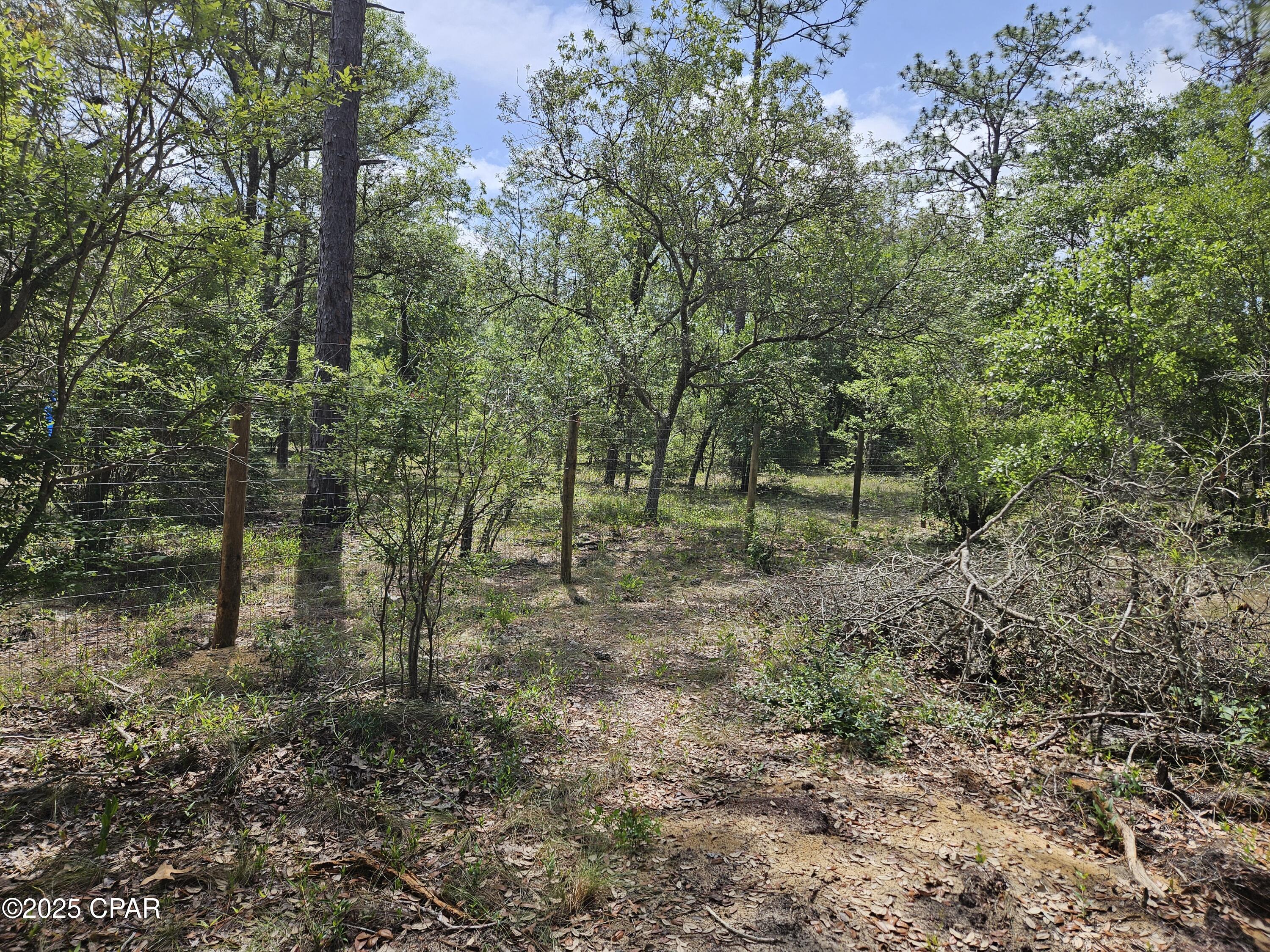3239 Fox Court Chipley, FL 32428 - Photo 11 of 29