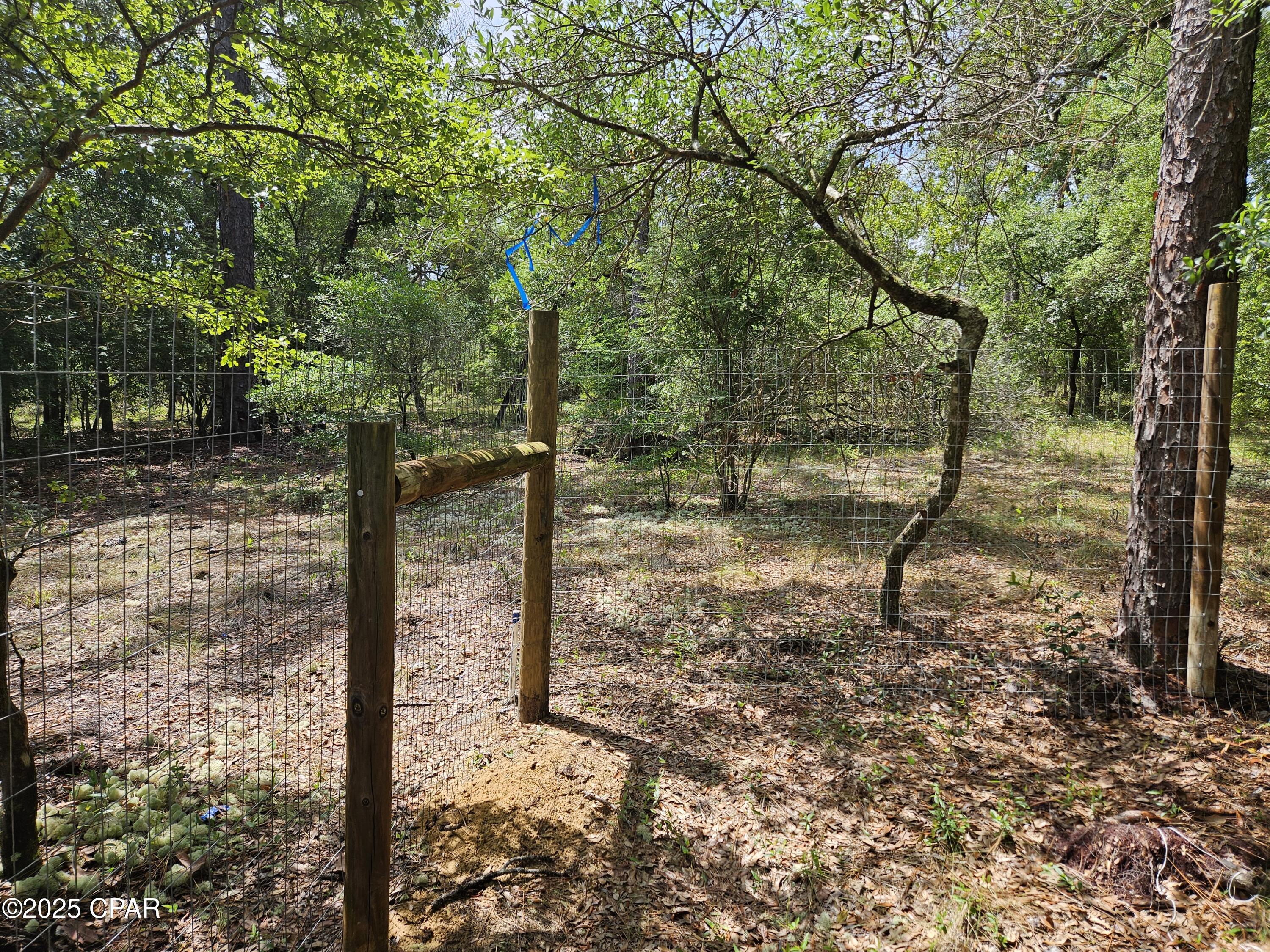 3239 Fox Court Chipley, FL 32428 - Photo 12 of 29