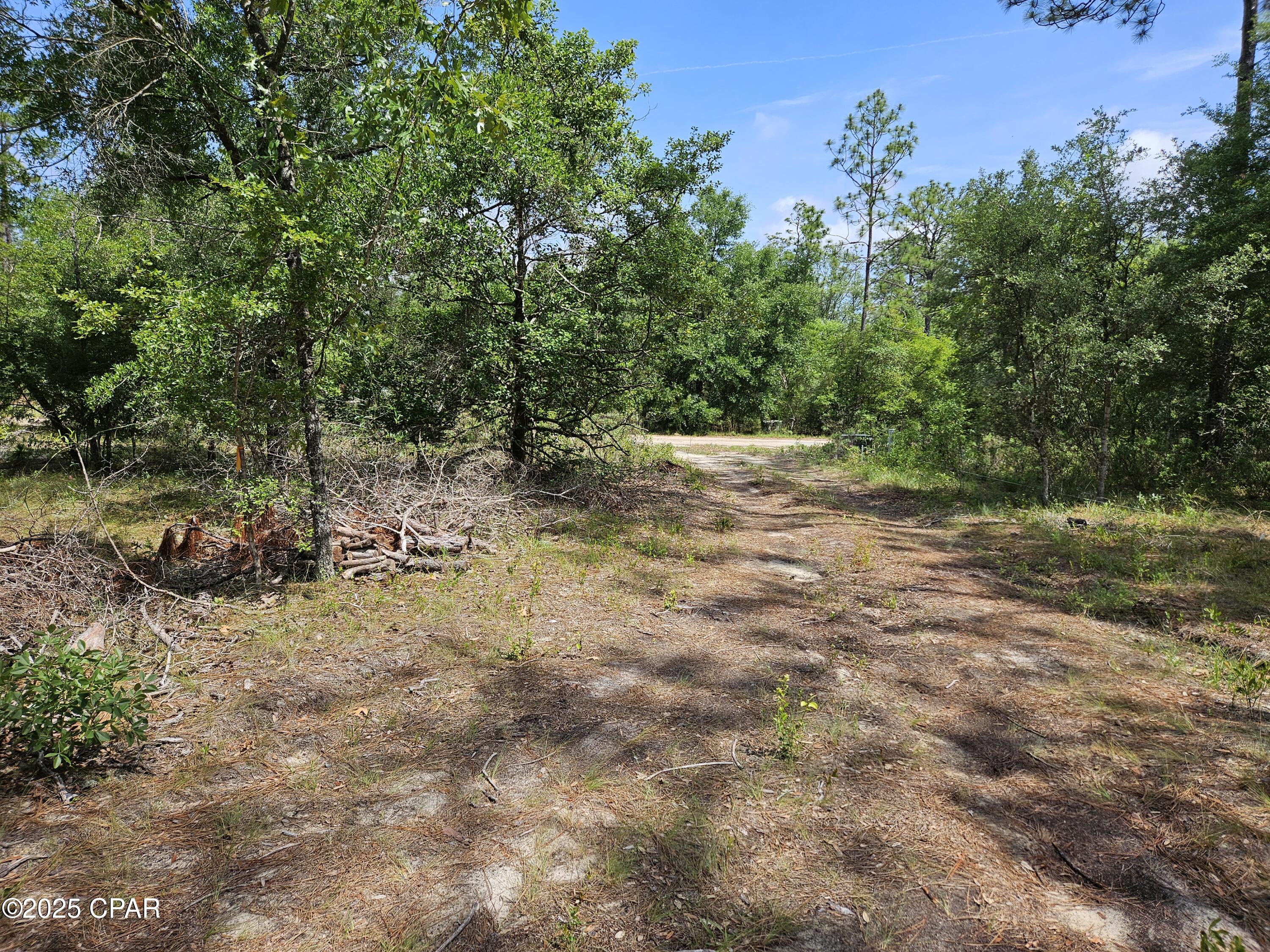 3239 Fox Court Chipley, FL 32428 - Photo 5 of 29