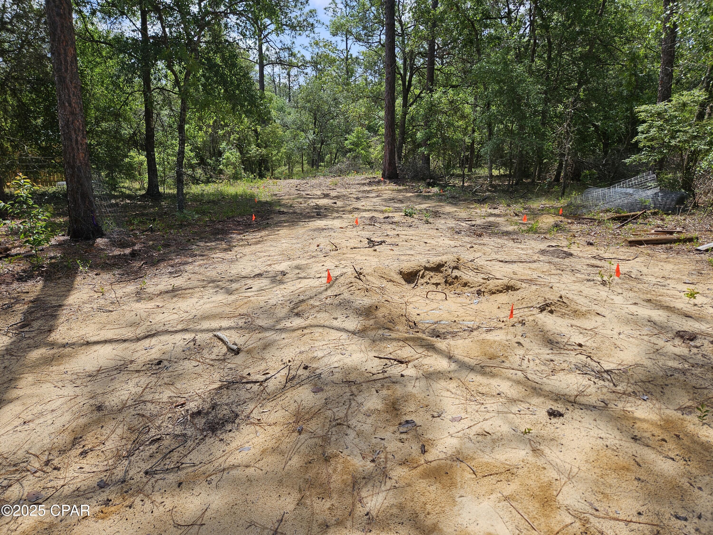 3239 Fox Court Chipley, FL 32428 - Photo 10 of 29