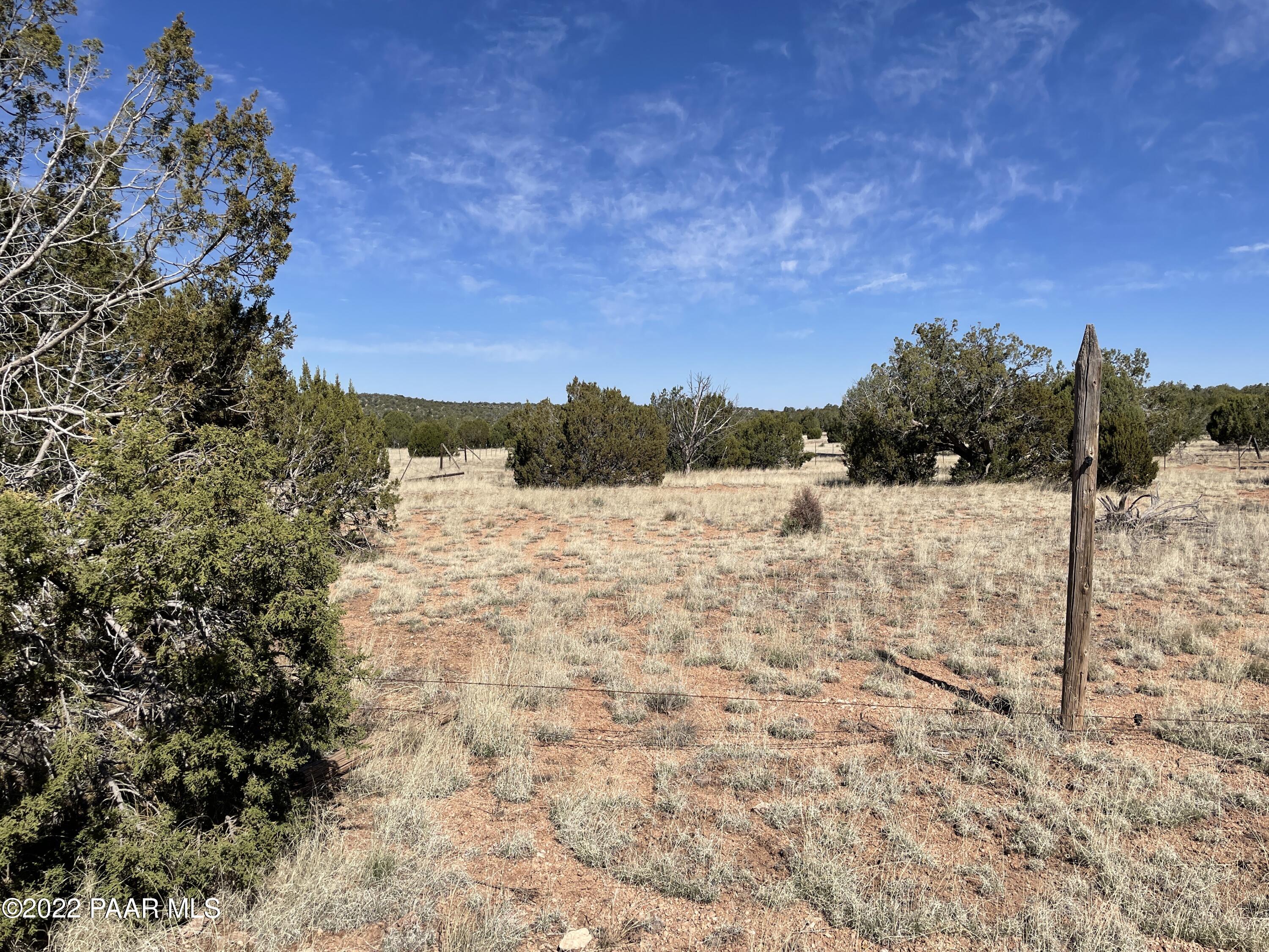 32103 Ancho Road Seligman, AZ 86337 - Photo 5 of 11 IMG_2484
