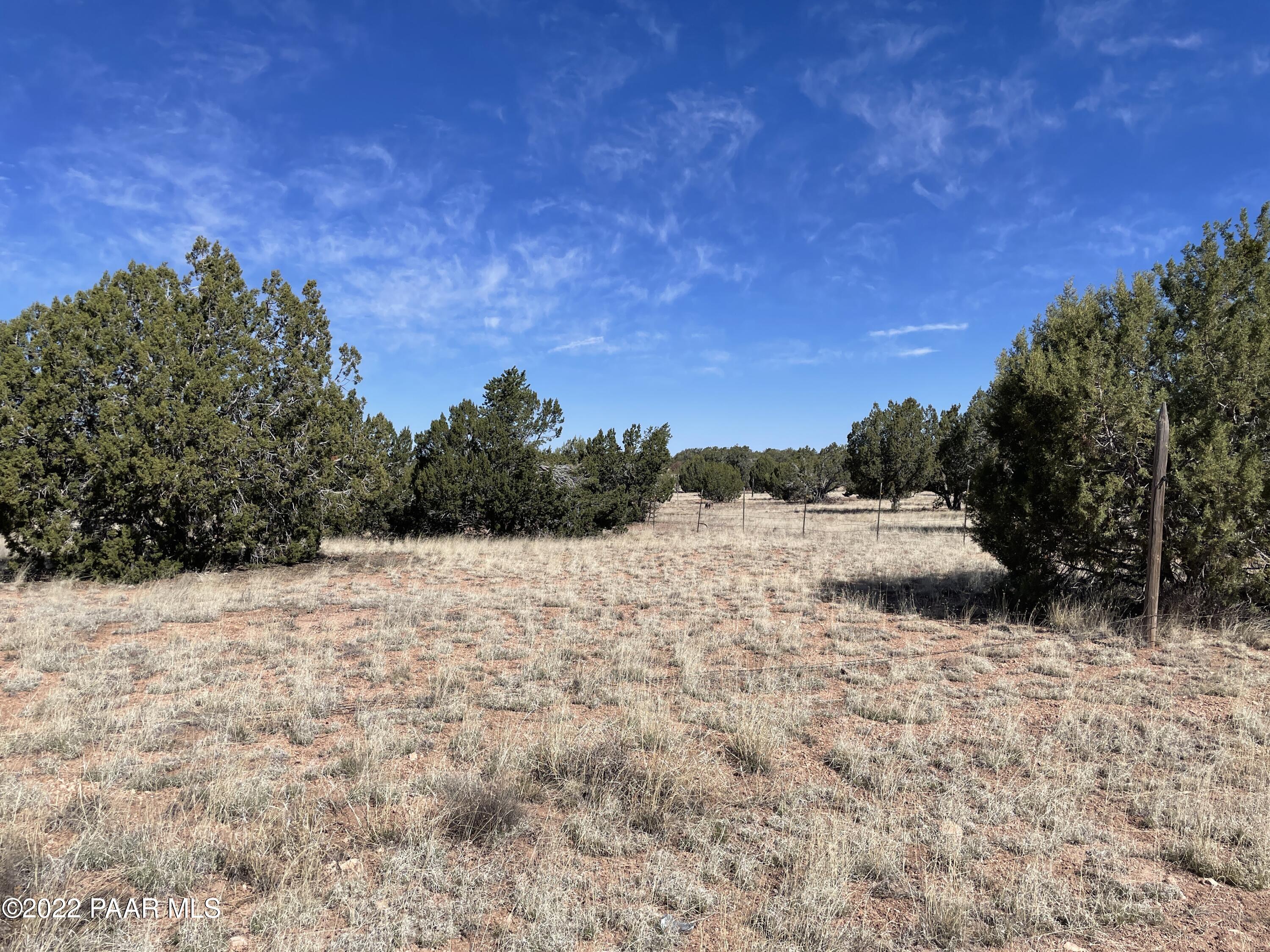 32103 Ancho Road Seligman, AZ 86337 - Photo 8 of 11 IMG_2487