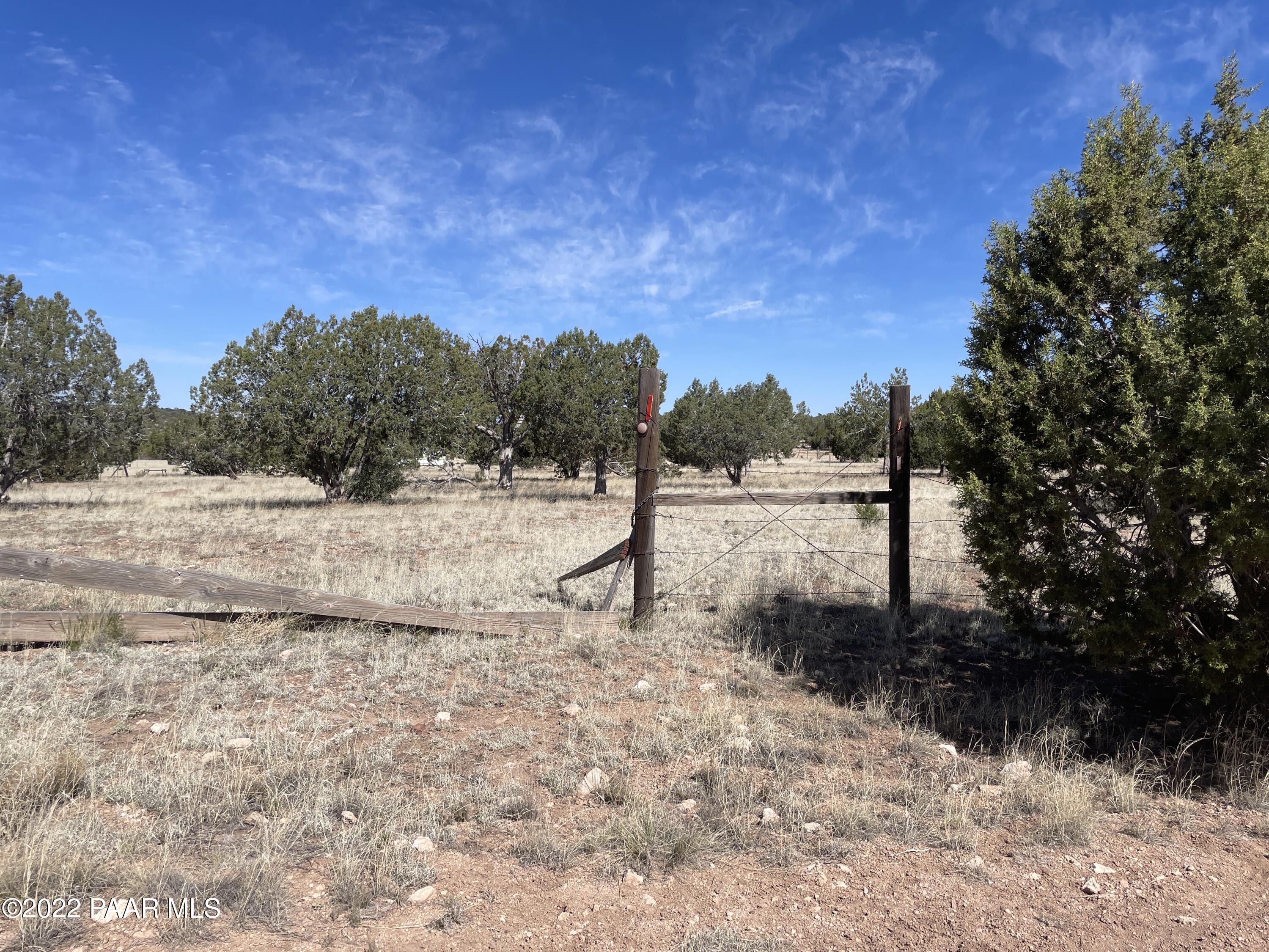 32103 Ancho Road Seligman, AZ 86337 - Photo 9 of 11 IMG_2489