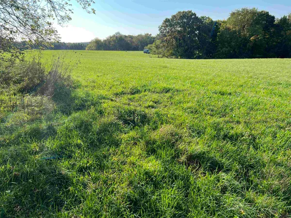 a view of a field with a yard