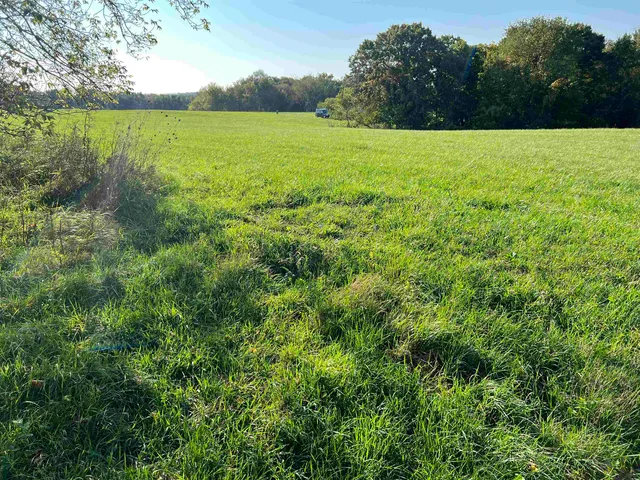 a view of a field with a yard