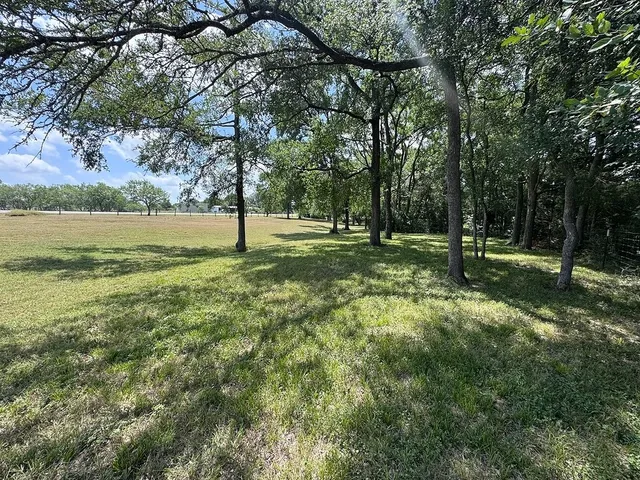a view of a park with large trees