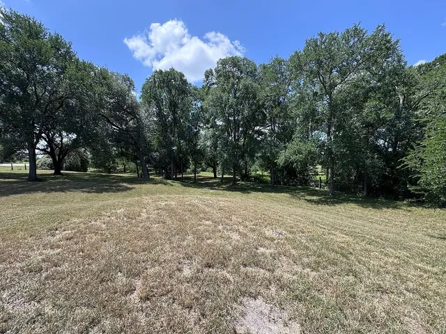 a view of outdoor space with deck and trees