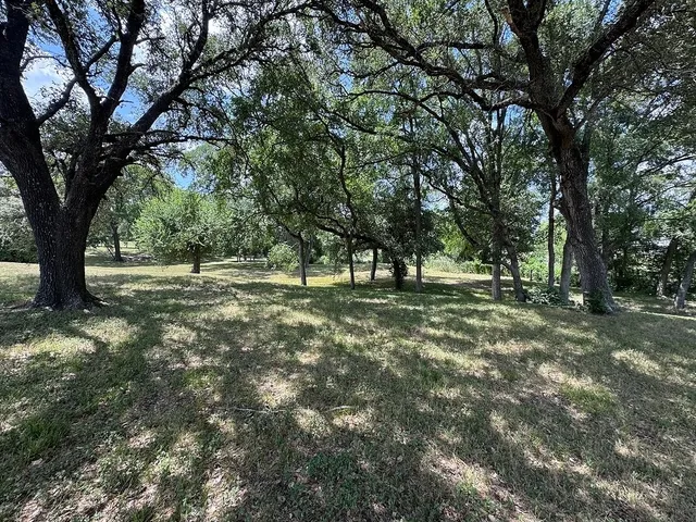 a view of outdoor space with trees all around