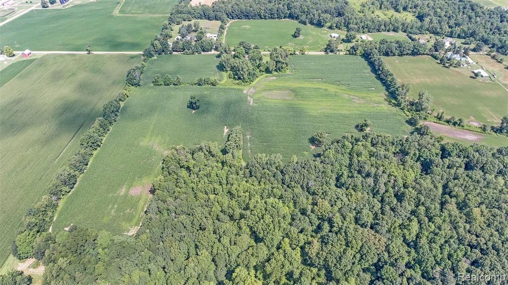 4615 West Bruff Road Fowlerville, MI 48836 - Photo 25 of 35