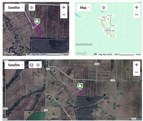 a view of a tree in a yard