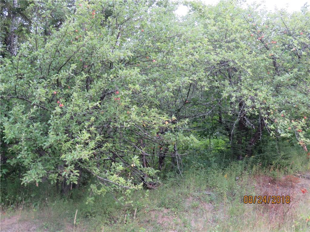 Lot 22 Woodland Center Road Perham, ME 04766 - Photo 6 of 15 Photo
