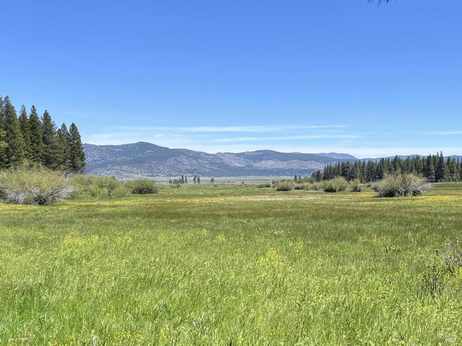 300 Meadow Ranch Road Calpine, CA 96124 - Photo 1 of 1 a view of a field with an ocean