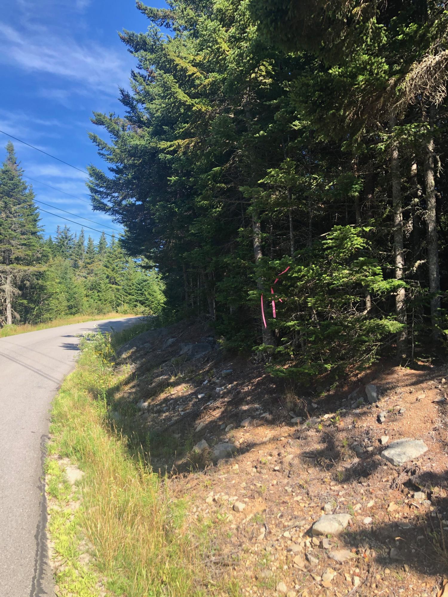 Lot 2 Destiny Bay Road Cutler, ME 04626 - Photo 7 of 20 IMG_7137