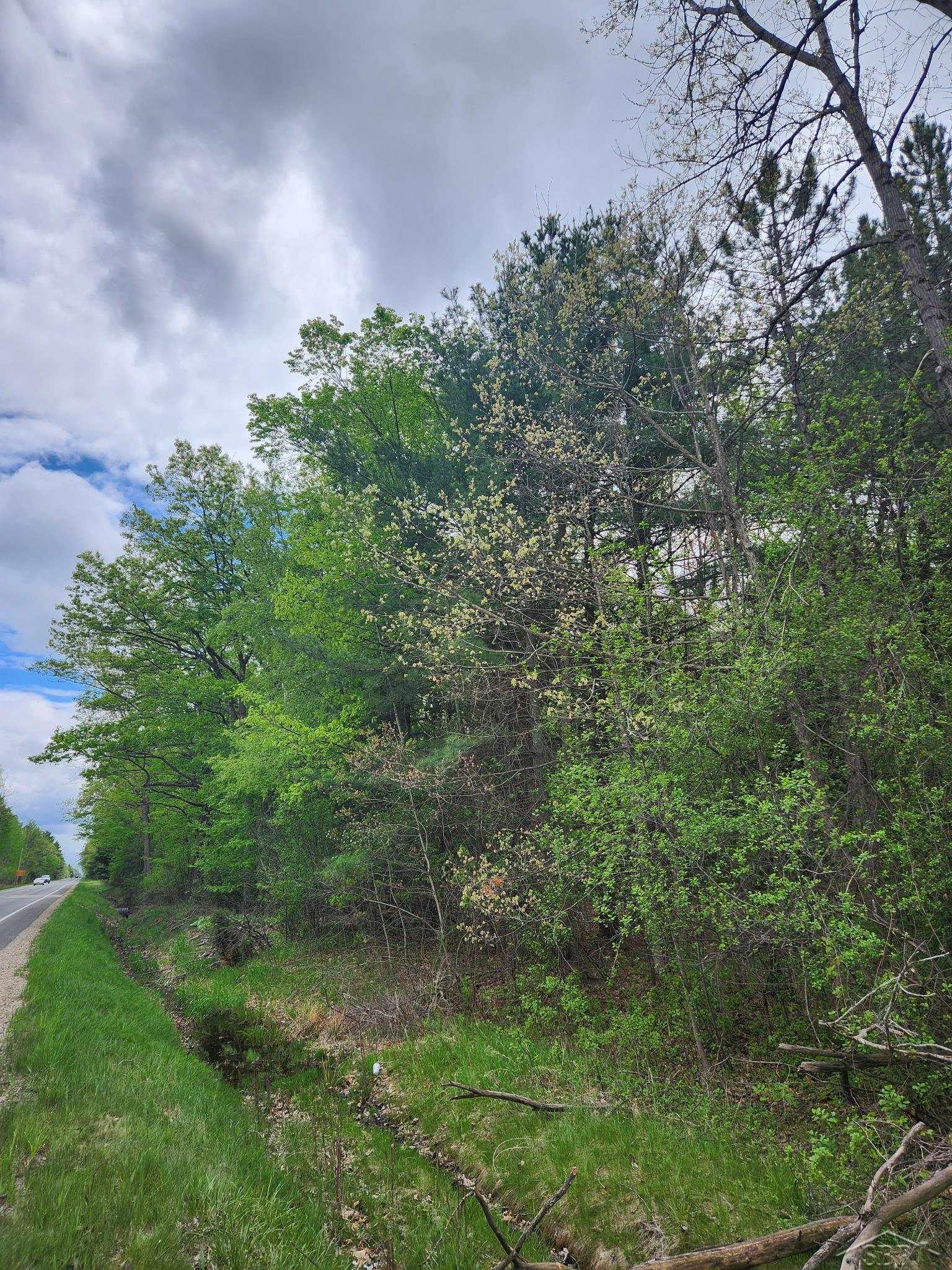 Vl South Meridian Road Midland, MI 48640 - Photo 2 of 10