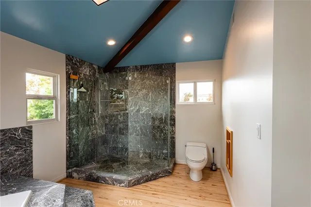 a bathroom with a shower and a toilet