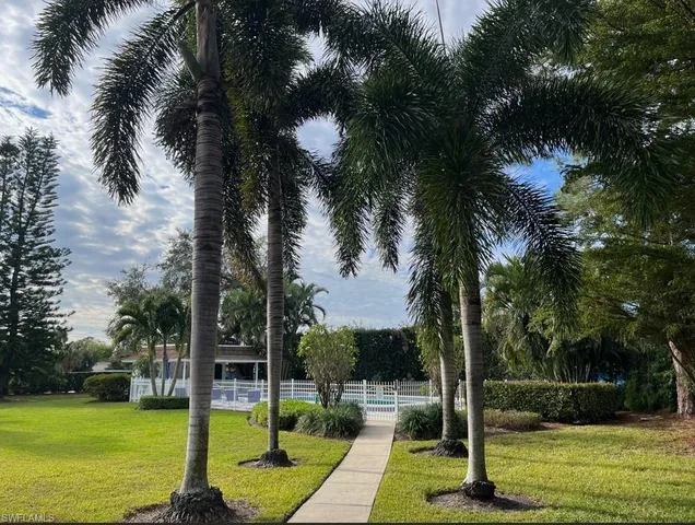 a view of a park with palm trees