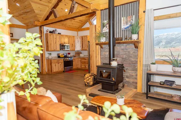 a kitchen with a stove and a potted plant