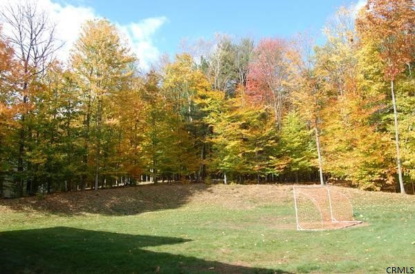 110 Miner Road Porter Corners, NY 12859 - Photo 23 of 24 Photo 23