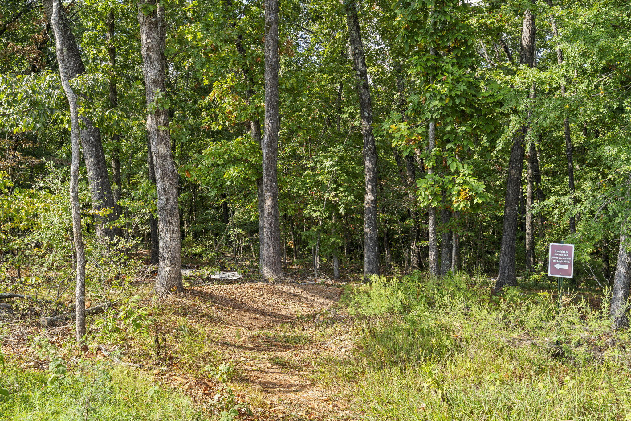 546 Buttermilk Spring Road Galena, MO 65656 - Photo 85 of 89 WOLF PACK PARK (9)