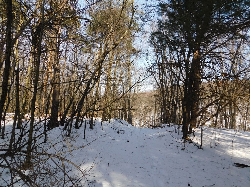 0 Lower Ridge Road James Creek, PA 16657 - Photo 2 of 10 Gallery Image 2