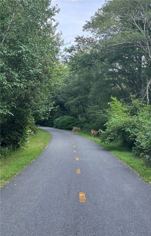 55 Pine Hill Road South Kingstown, RI 02879 - Photo 40 of 41 They love the bike path too!