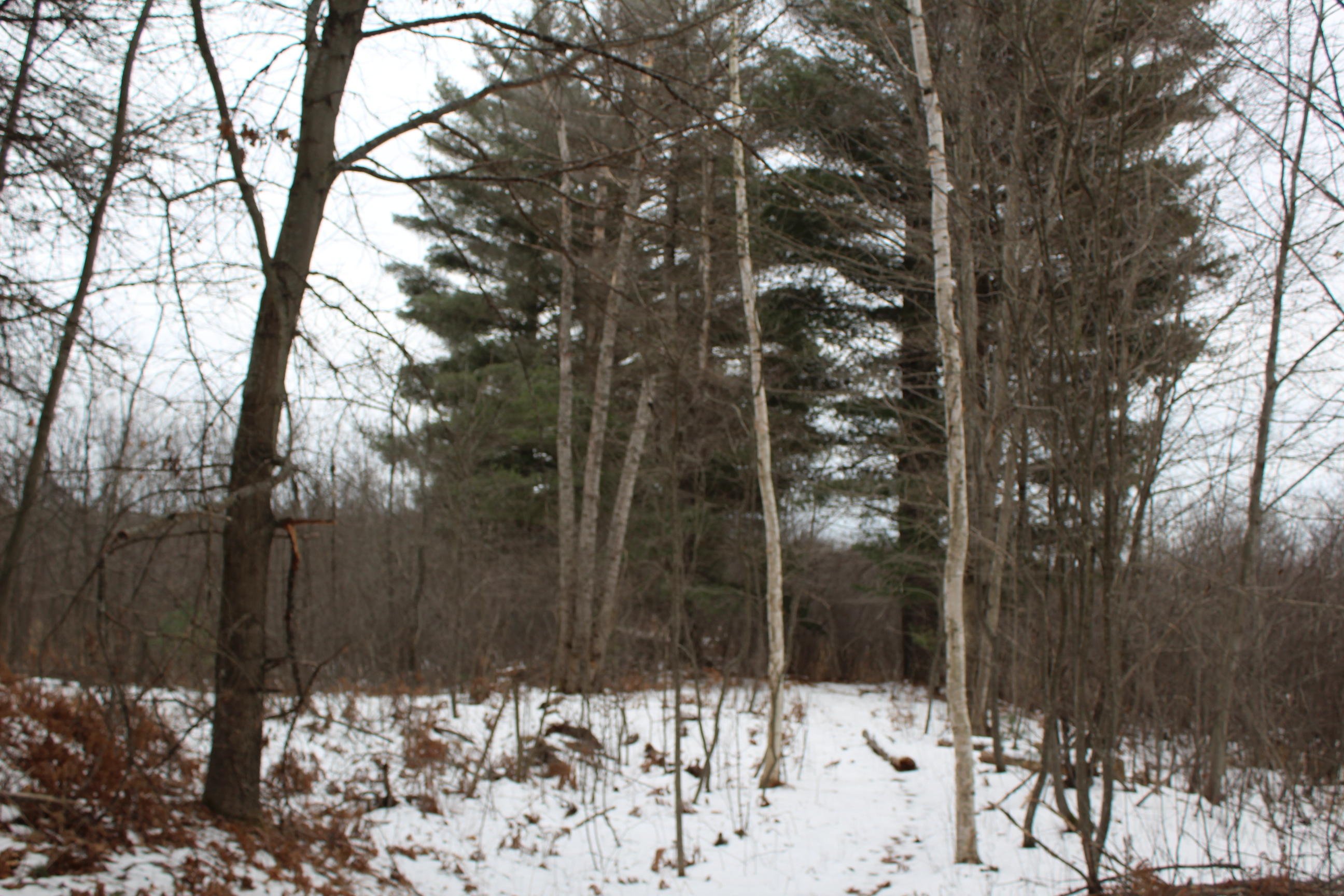 2018 Deer Valley Road Alpena, MI 49707 - Photo 28 of 33 Gallery Image 28