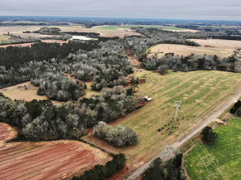 0 Tom Fain Road Geneva, AL 36340 - Photo 6 of 13