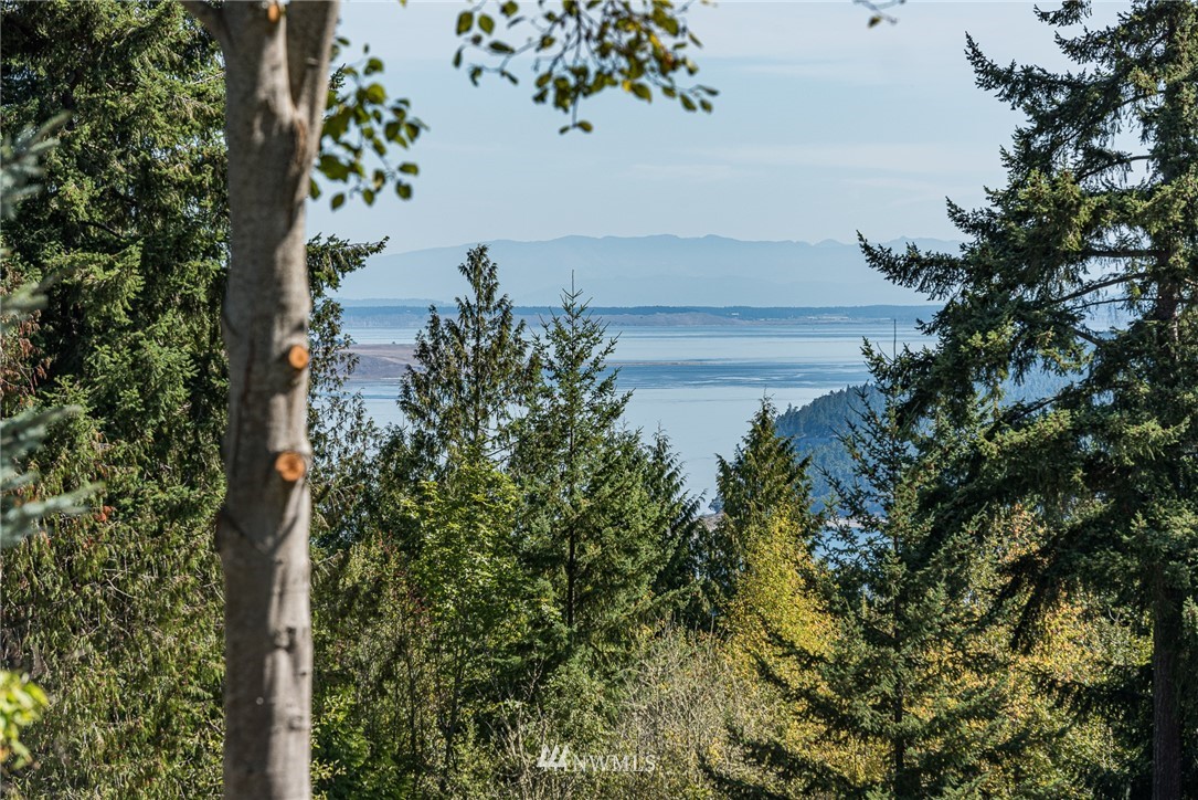 21 Elk Pass Road Sequim, WA 98382 - Photo 22 of 24